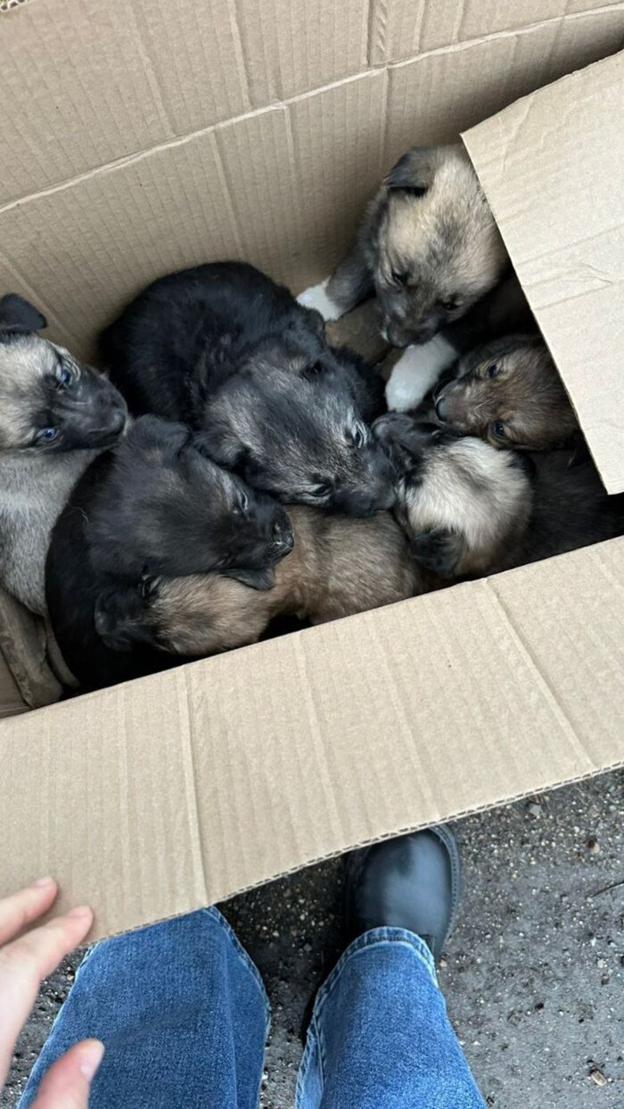 Такими нашли