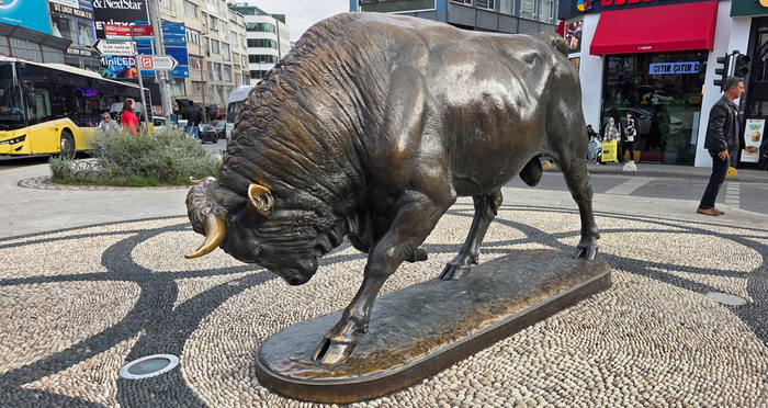        -          !             ))