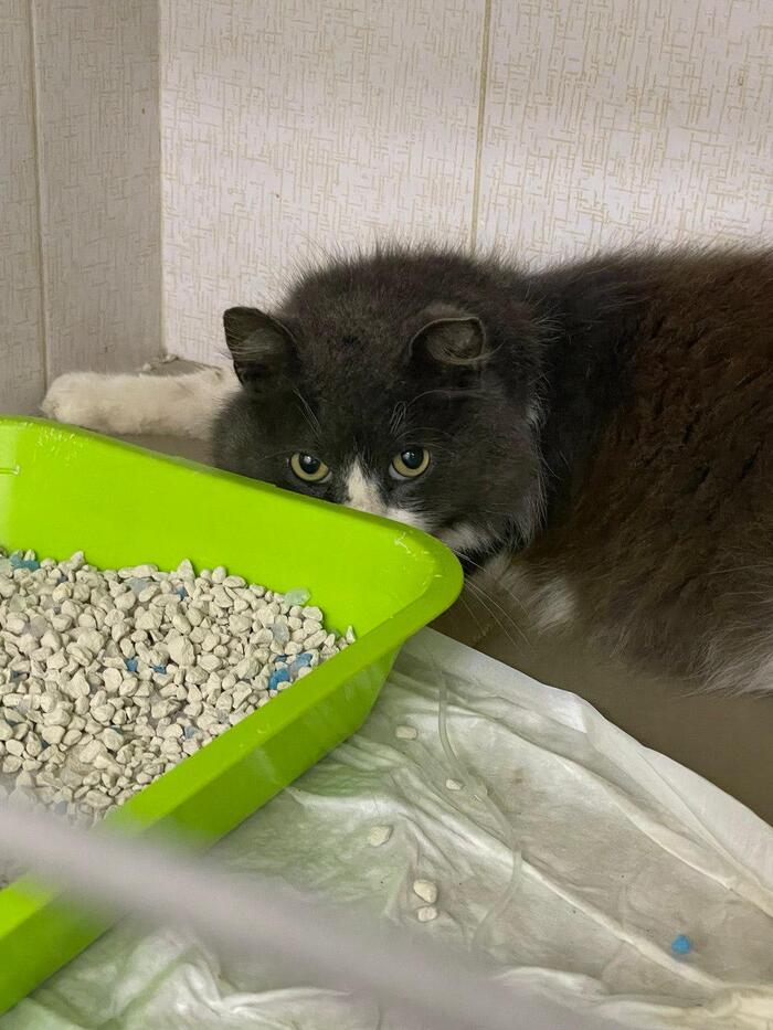   .   ,     .  , ,     -   )))