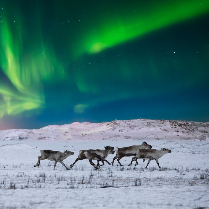 , ,     .    ,       ,        .