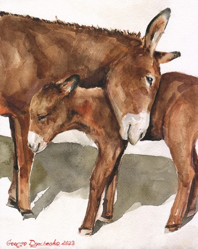 Мама и её ослёнок. Акварель 2023. Надеюсь вам понравится) - Моё, Радость, Акварель, Осел, Ферма, Животные, Милота