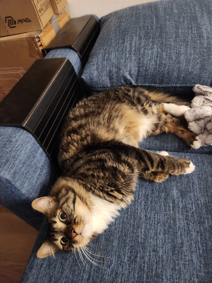 Ежедневный Рислинг #135