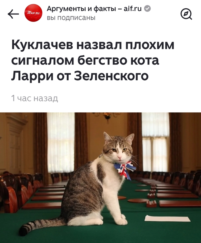 Наш слоняра