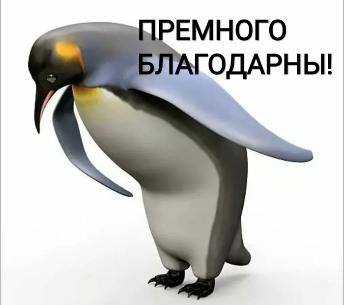 Ответ на пост «Сына заместителя мэра Харькова заживо сжег сын посла Украины в Болгарии Олеси Илащук»