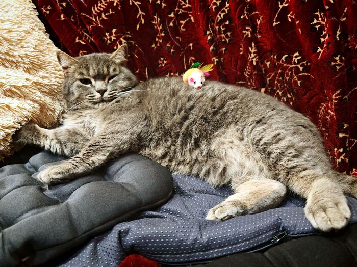 жизнь удалась