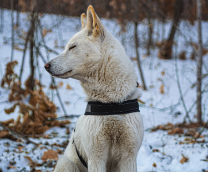 �������� �����