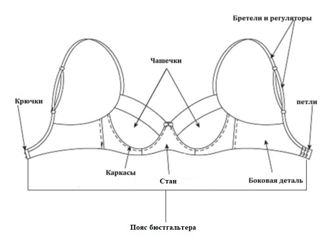 Как правильно подобрать бюстгальтер?