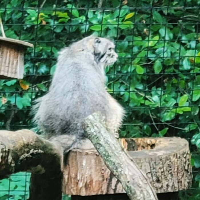 В летние денёчки