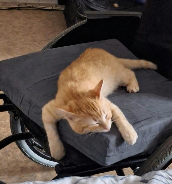 Без рейтинга, без денег, но с желанием работать