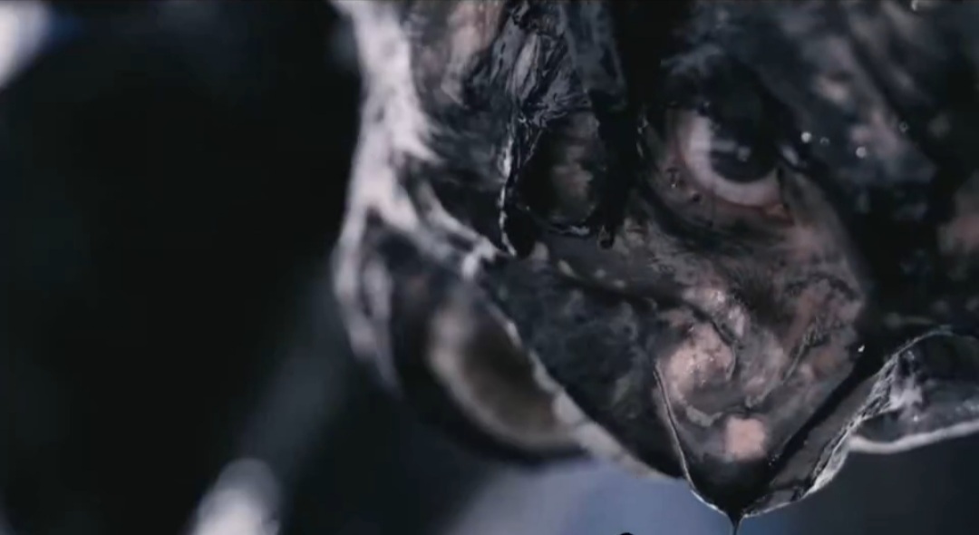 Asava - Музыканты, Metalcore, Длиннопост