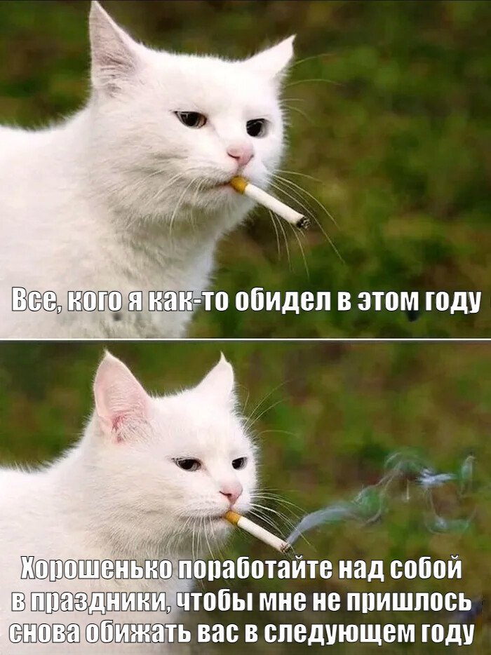 Пожелание на будущий год