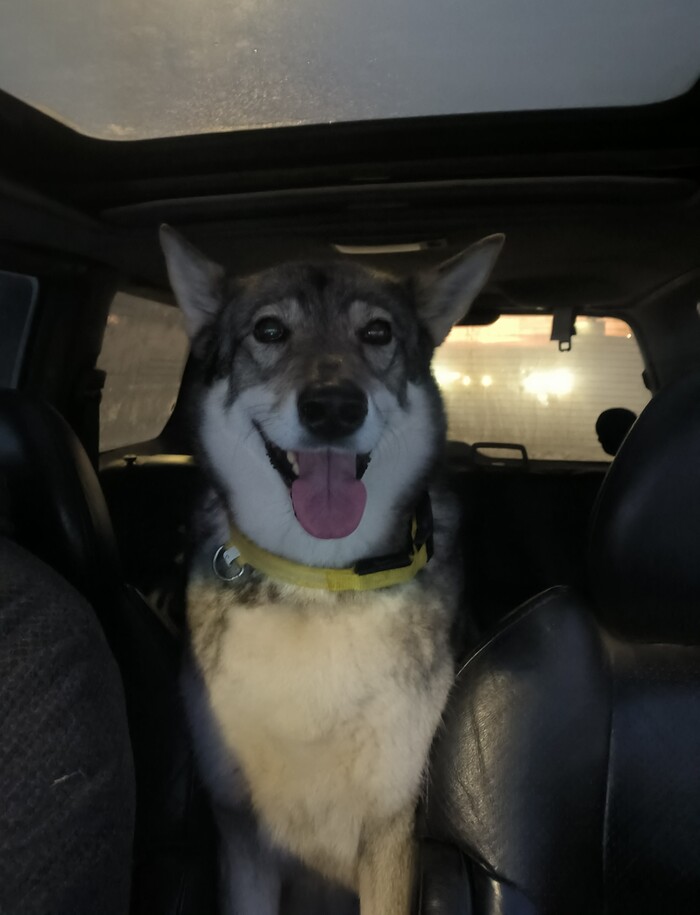 не лежит на сиденьях, всегда контролирует куда едем