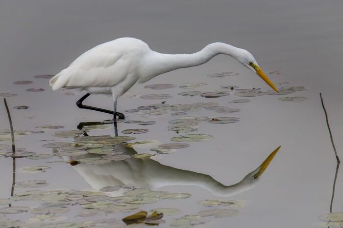 В любом деле важен правильный подход