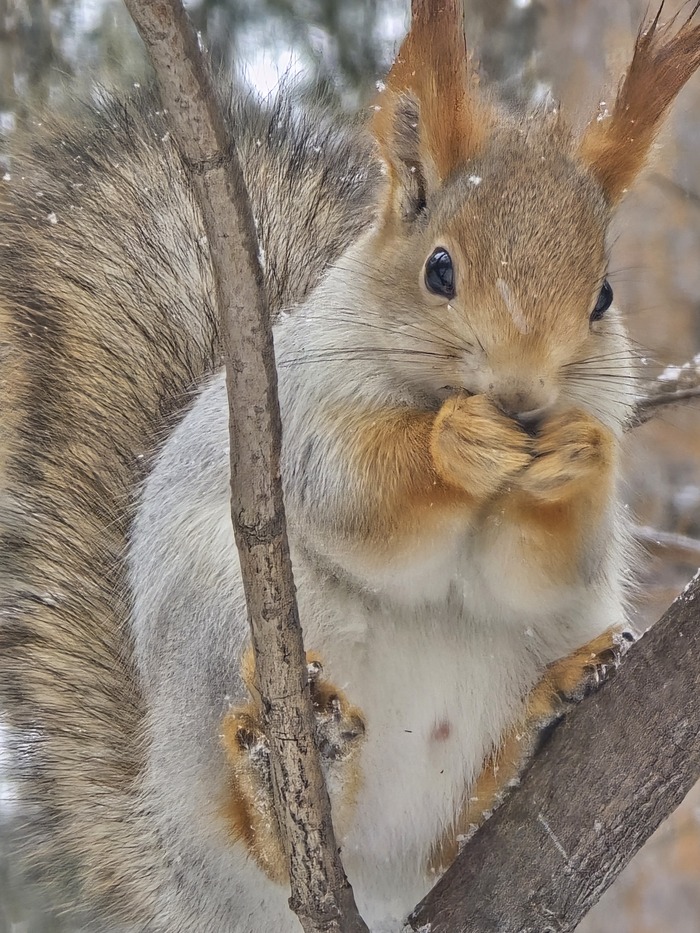     ,                .    .       .