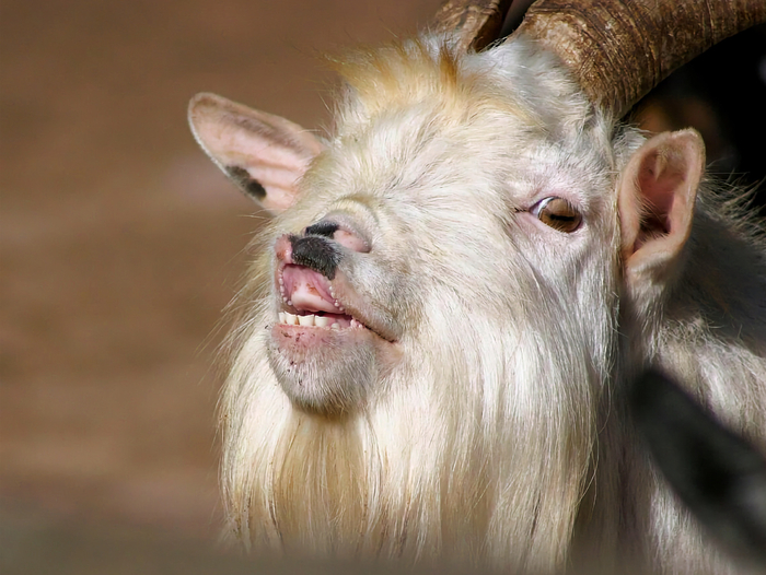             .    ,   :           ?