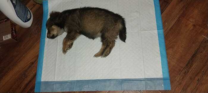  , ,  .    ,           .