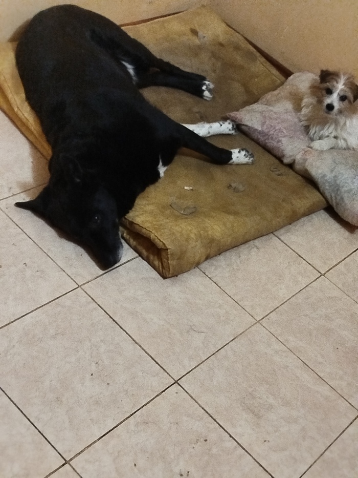 Съехали с места