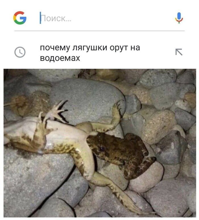 Среда срывает покровы