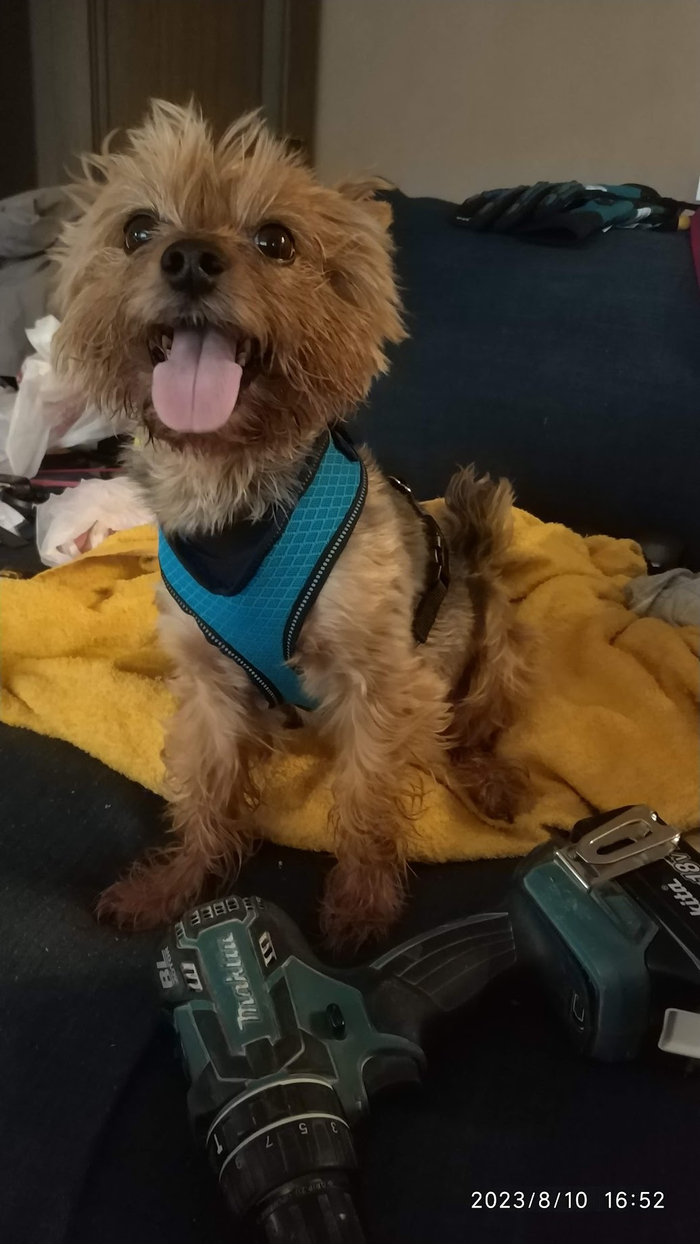 Шурик и Юсик