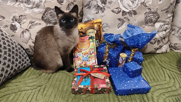 Кофе из города дедушки, веселые носочки, чекобук мечты лисичек с пожеланиями