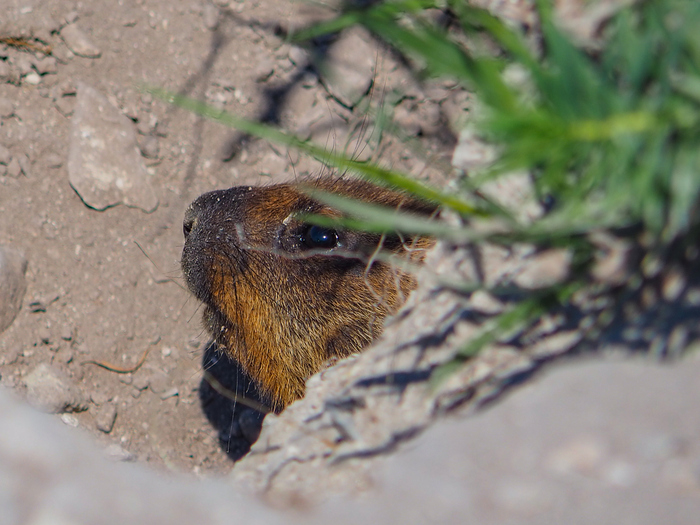 Потом этот тип настучал на меня всей своей банде, и ещё пару часов они не выходили. 