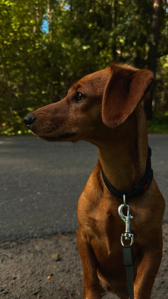 Это Соня уже в большом городе на прогулке.