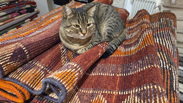 И на коврах ручной работы тоже можно неплохо заработать