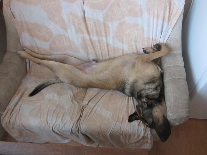 До чего же удобно!