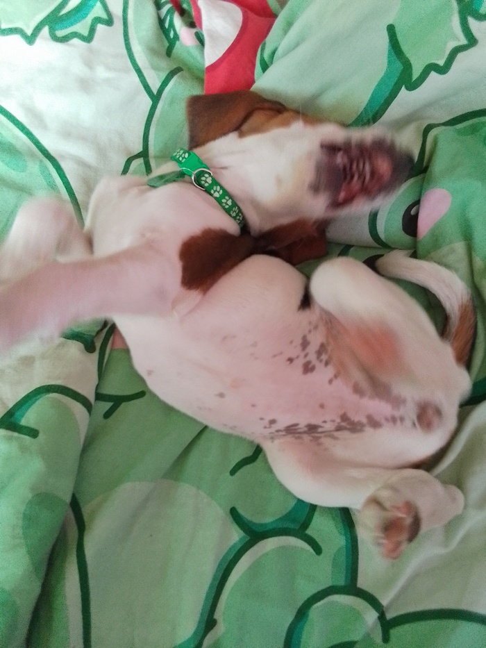 Малышка Лили бесится