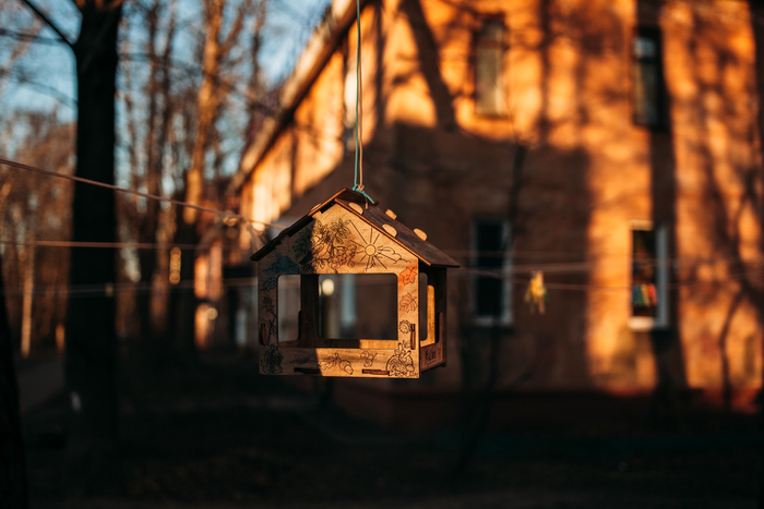 Ноябрьский закат