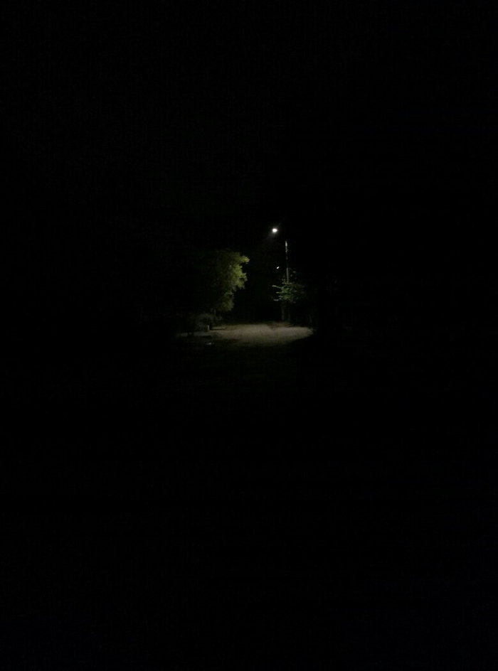 Ответ на пост «Мой лучший кадр в 2024 году»