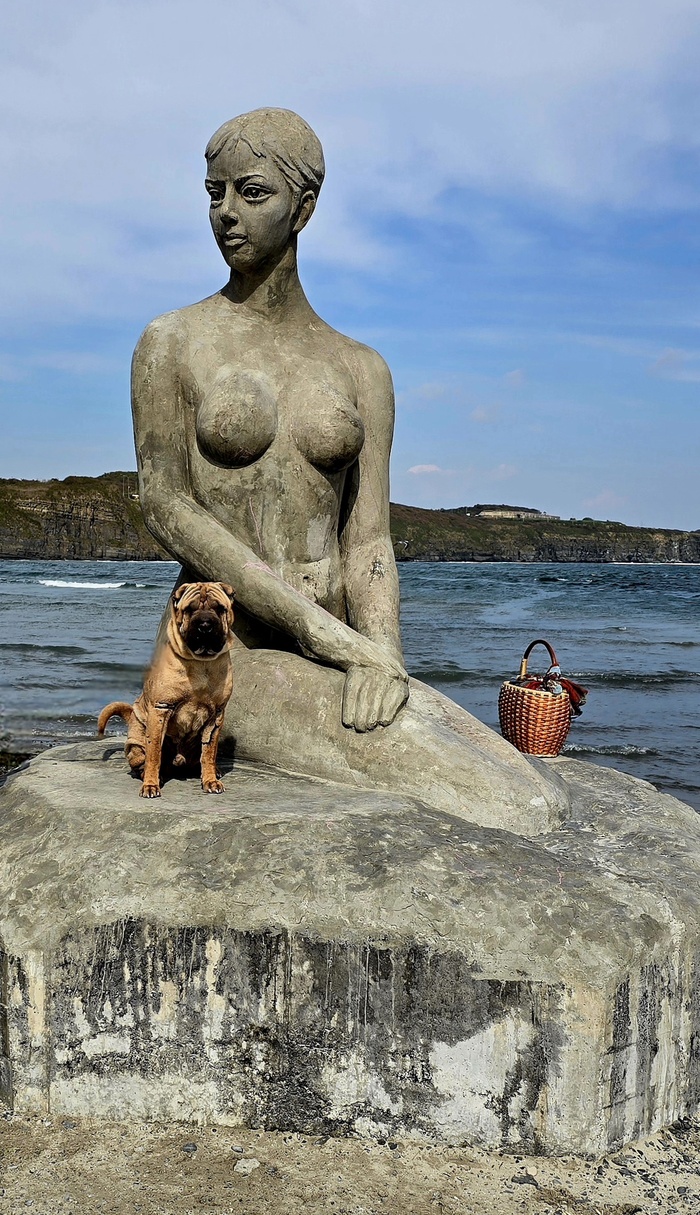 Русалка и шарпей)