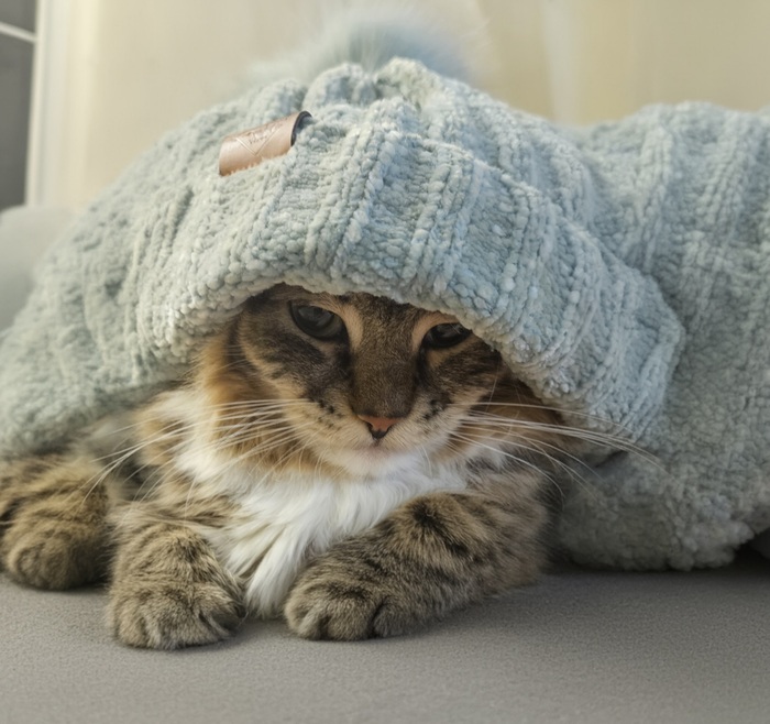 А за окном холодно