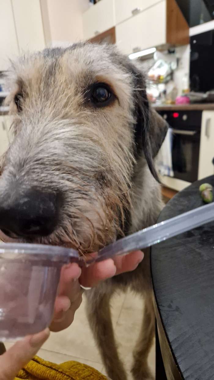 Дали облизать упаковку из под творога