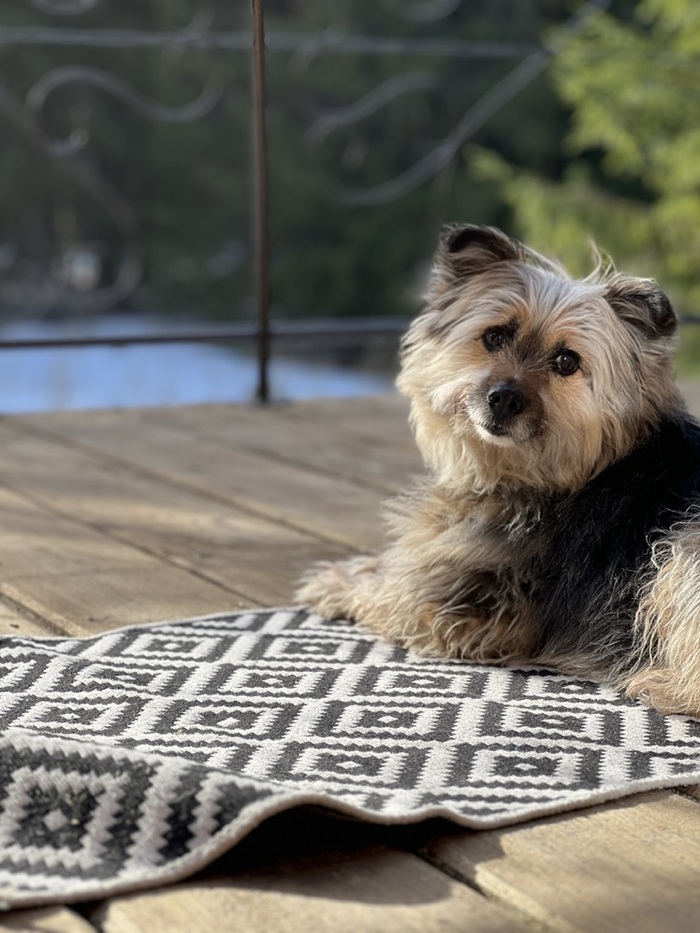 Не самое частое фото, где Ежка счестлив, чаще он старательно показывает, что его бьют, не ценят, не кормят и все такое