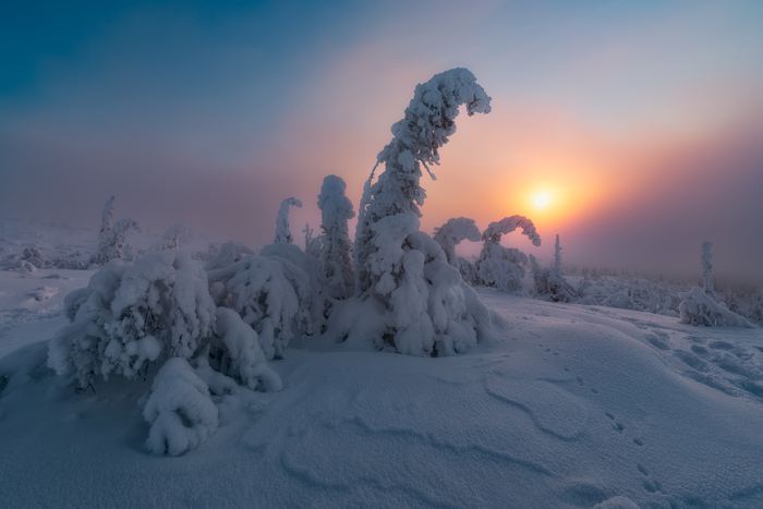 Замёрзшее солнце