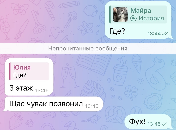 Продолжение поста «Пропала кошка. Москва, район Марфино. Сила Пикабу, помоги!»