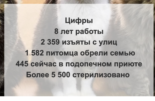 С сайта фонда