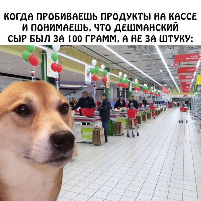 Читай внимательно