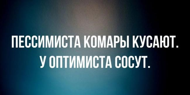 Пессимистический анализ