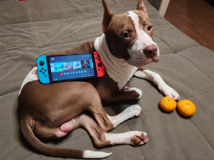 Кризис среднего возраста