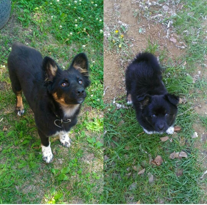 Моя соба. Стало/было