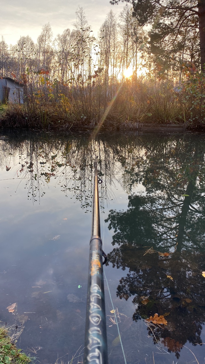 Ответ на пост «Лучший кадр 2025 года»