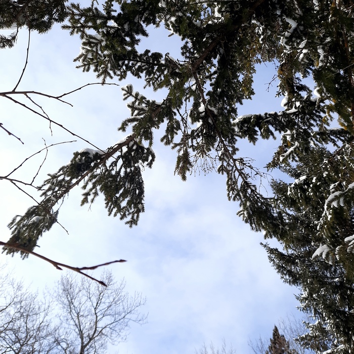 166 дней Есенина #83