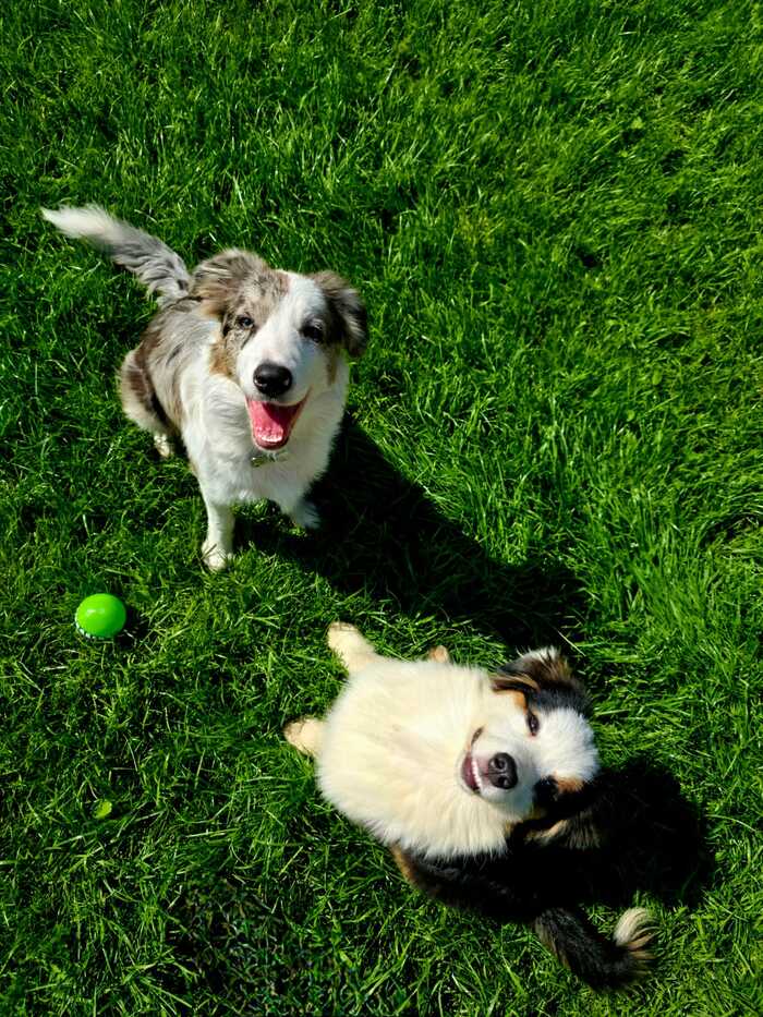 Ответ на пост «Лучший кадр 2025 года»