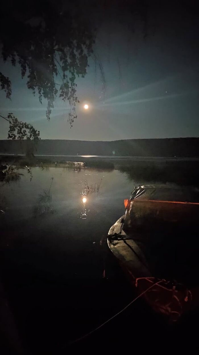 Ответ на пост «Лучший кадр 2025 года»