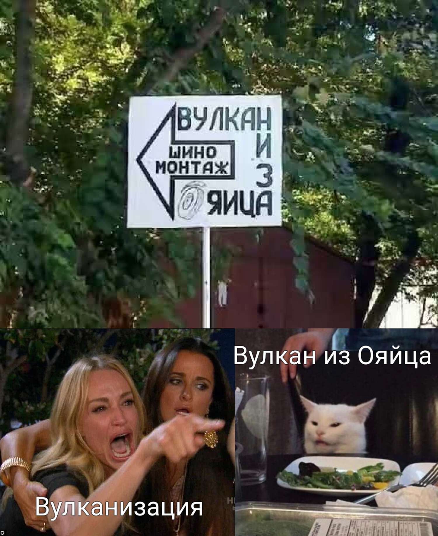 Volcano from an egg - Humor, Memes, meme generator, Peekaboo, Comments, Dispute, cat, Women, Vulcanization, Tire service, Signs