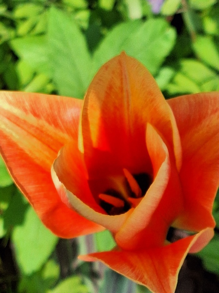 Ответ на пост «Лучший кадр 2025 года»