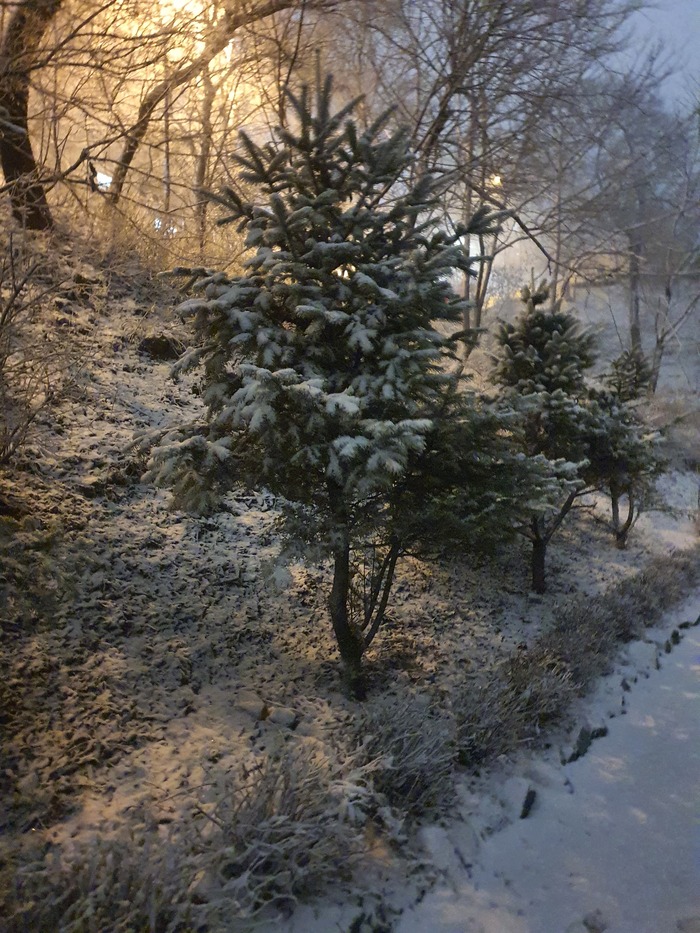 Лучшее фото за 2025 год