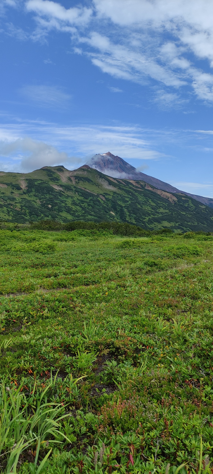 Ответ на пост «Лучший кадр 2025 года»